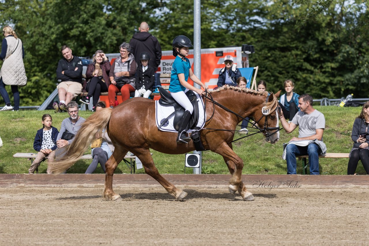 Bild 75 - Pony Akademie Turnier